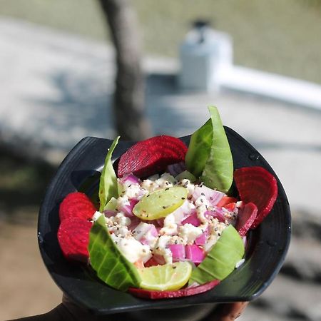 Shivanjal Wellness And Accommodation ริชิเคช ภายนอก รูปภาพ