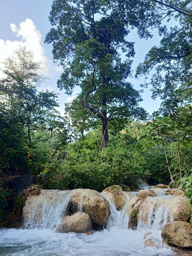 Shivanjal Wellness And Accommodation ริชิเคช ภายนอก รูปภาพ