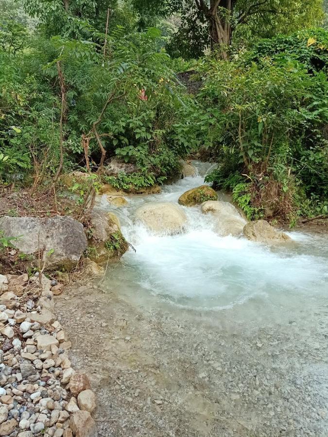 Shivanjal Wellness And Accommodation ริชิเคช ภายนอก รูปภาพ